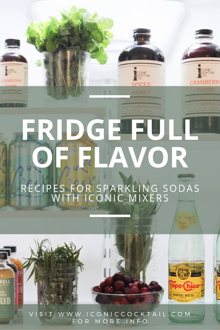 Fridge Full of Flavor: Create Sparkling Sodas with Iconic Mixers