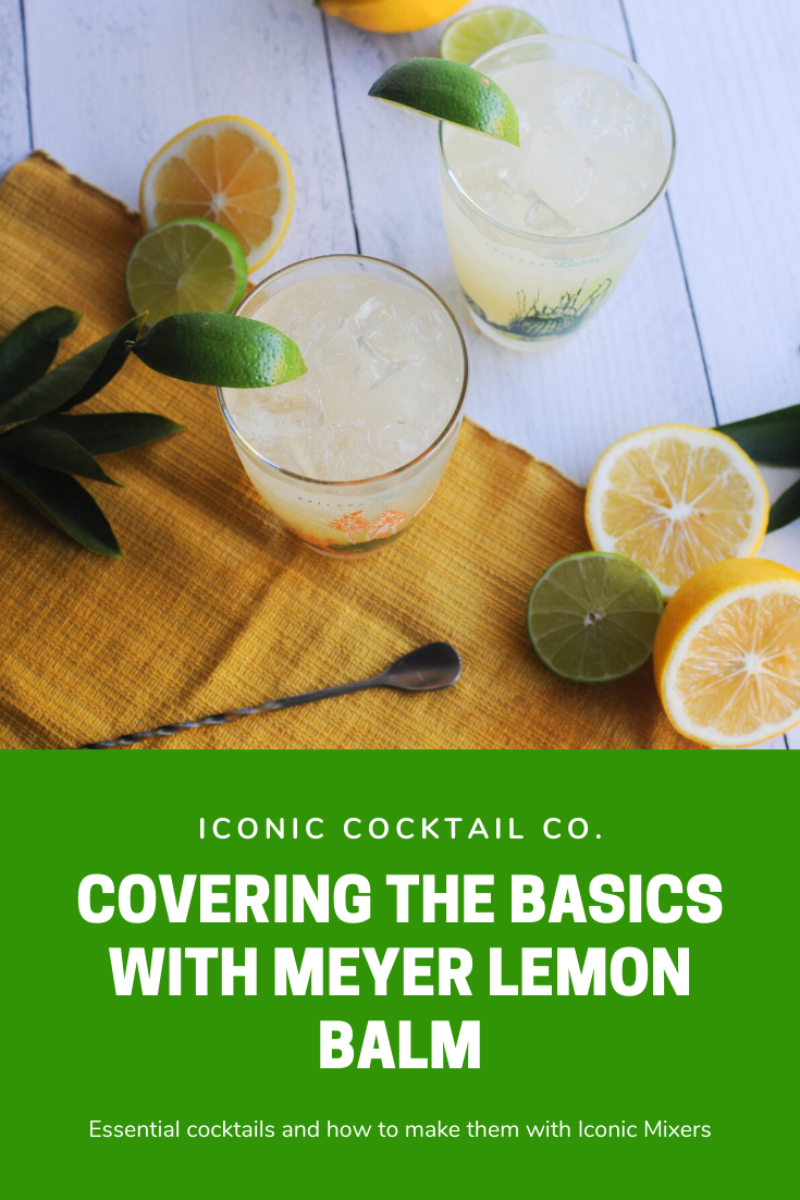Covering the Basics with Meyer Lemon Balm