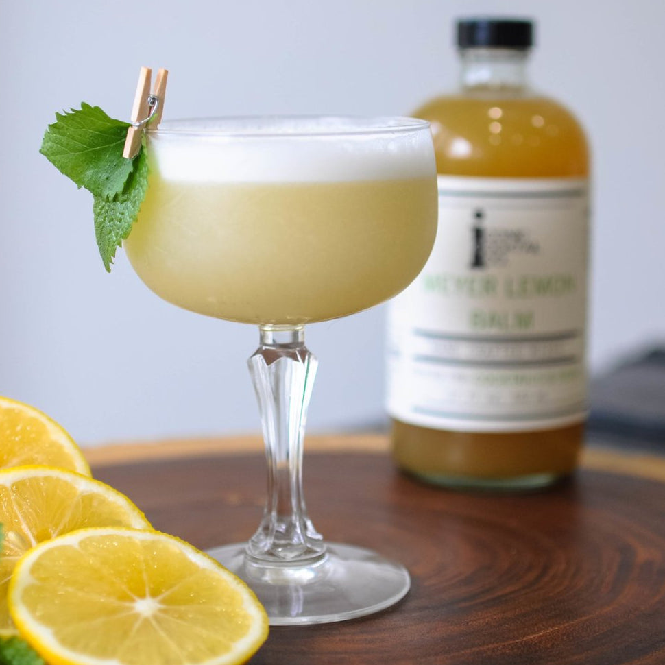 Meyer Lemon Balm (Exclusive!)